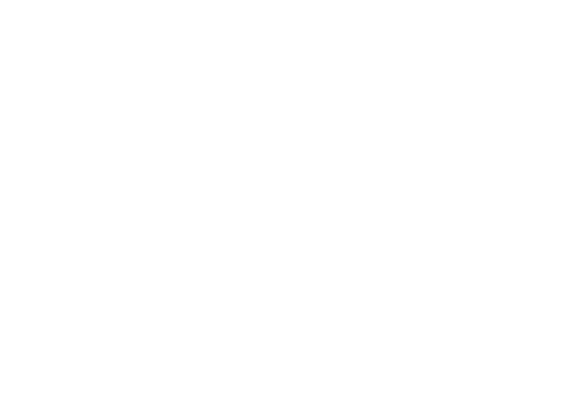 XPeng